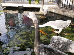 -鹅公村·国家非遗传承(荔湾店)