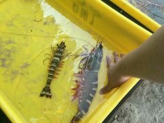 -班赞海鲜市场