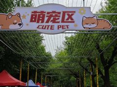 -哈尔滨道外花鸟鱼市场