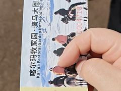 -祁连山草原