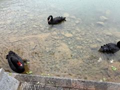 -湖泉半山温泉(湖泉生态园)