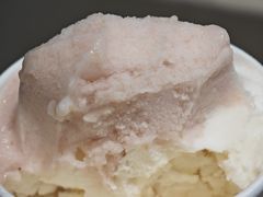 -鹤茶野所(上海首店)
