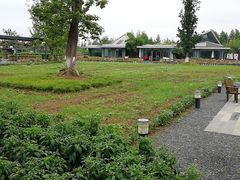 -田园东方蜜桃村的田野营地