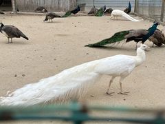 -韶关经律论国际酒店温泉