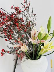 -WENDY·温迪皮肤管理