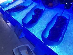 -长沙三景韦尔斯利酒店·Oval全日制餐厅自助餐