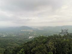 -呀诺达热带雨林
