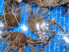 -船奇蒸汽海鲜·闽菜(八市海鲜总店)