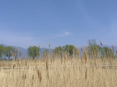 -野鸭湖国家湿地公园