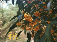 -白塘生态植物园
