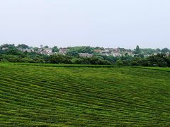 -敬亭山风景名胜区