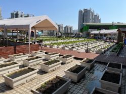 -三分地生态园·儿童乐园