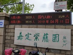 -嘉定紫藤园