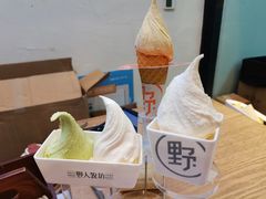 -野人先生现做冰淇淋(北京环宇荟店)