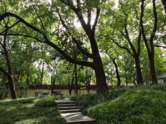 -徐家汇源景区-衡山公园