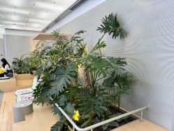 -纯粹医美