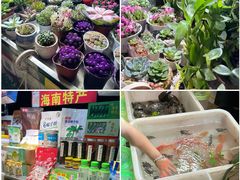 -海大南门夜市(海富街店)