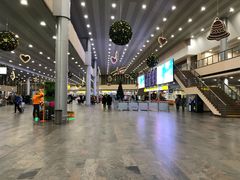 -谢列梅捷沃国际机场