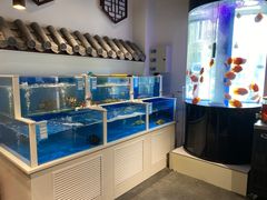 水产区-金汤宴餐厅·粤菜(德云社店)