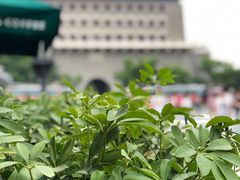 -星巴克臻选(北京前门大街店)