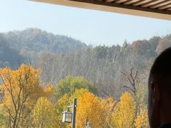 -千年银杏谷文化旅游区