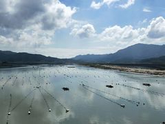 -北岐滩涂