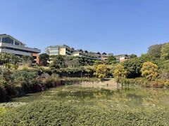 -广州莲花山旅游区