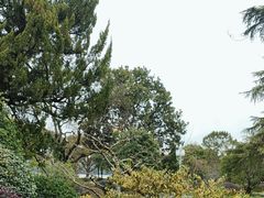 -浙江西子宾馆·牡丹厅