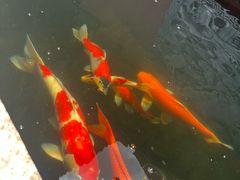 -启明龙王庙