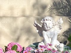 -秀儿家の小确幸花园西餐厅
