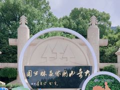 -大奇山国家森林公园