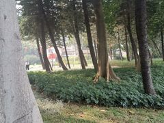 -广州雕塑公园