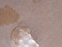 -南戴河旅游度假区