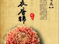 -小榄公饭店·岭南庭院餐厅(民安北路店)