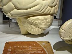 -宁波科学探索中心