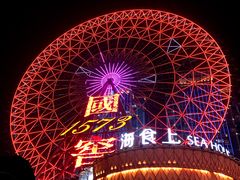 -星城之眼摩天轮