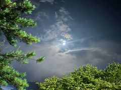 -黄山白云宾馆