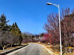 -北京鹫峰国家森林公园