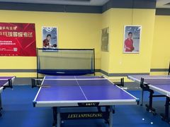 -乐旋乒乓球(深圳南油店)
