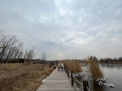 -野鸭湖国家湿地公园