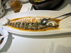 -院里寻菜·精致庭院菜(观沙岭店)