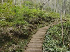 -塔川景区