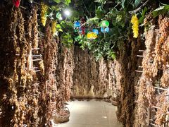 -新疆国际大巴扎