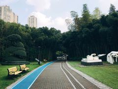 -苏州河梦清园环保主题公园