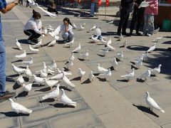 -天津妈祖文化园