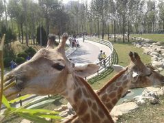 -大连森林动物园