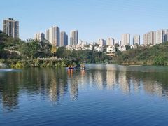 -重庆彩云湖湿地公园