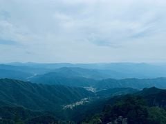 -王顺山国家森林公园