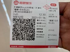 -天津美亚HeyLED影城(天津水游城店)
