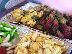 -珊瑚岛